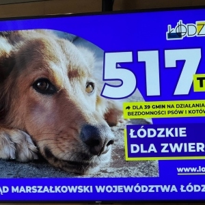 525013867_759869063089292_6191710985601209955_n